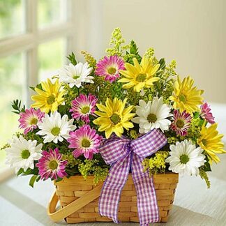 Springtime Wishes