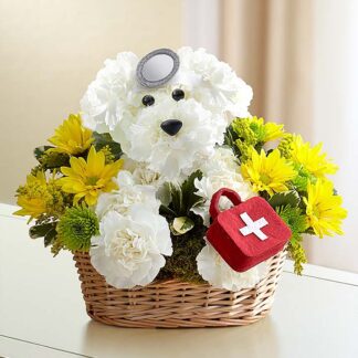Doggie Howser M.D.