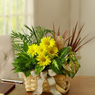 Planter Dish Garden with Fresh Cut Flowers