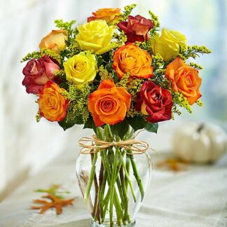 Rose Elegance Premium Long Stem Colorful Roses