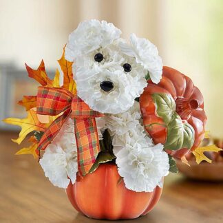 a-DOG-able for Fall