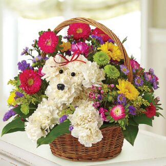 a-DOG-able® in a Basket