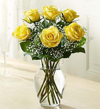 Love's Embrace Roses Yellow
