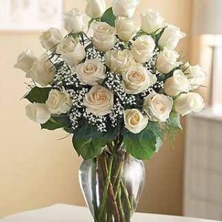 24 Premium Long Stem White Playa Blanca Roses