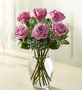 Love's Embrace Roses Purple