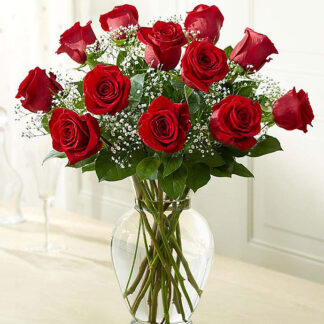 Rose Elegance Premium Long Stem Red Roses