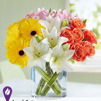 Modern Spring Mix