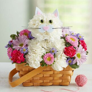 Fabulous Feline