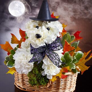 Witchy Pooch
