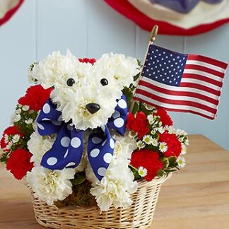 Yankee Doodle Doggie™