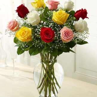 Our Color Choice Roses