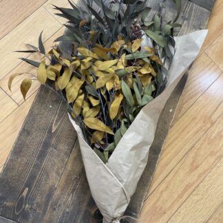 dried eucalyptus leaves