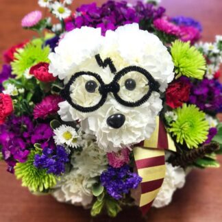 Harry A-Dog-Able