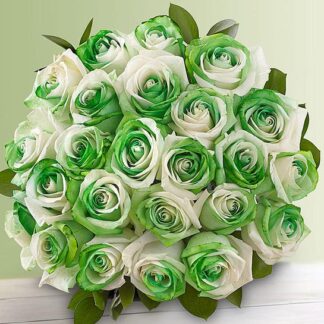 St. Patrick's Day Roses 24
