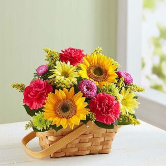 Garden Basket