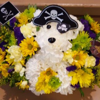 A-Dog-Able A Pirates Life For Me