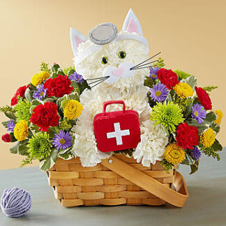 Cure-All Kitty