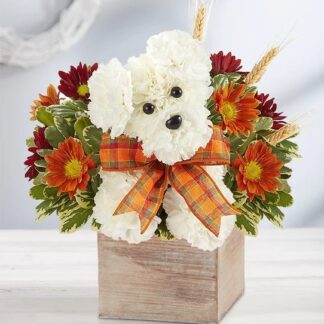Rustic A-DOG-Able For Fall