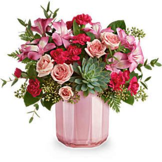 Rosy Radiance