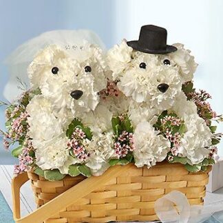 Happily Ever After A-Dog-Able