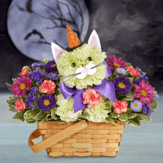 Purrfect Potions Fabulous Feline