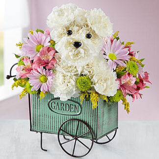 Pup N Posies