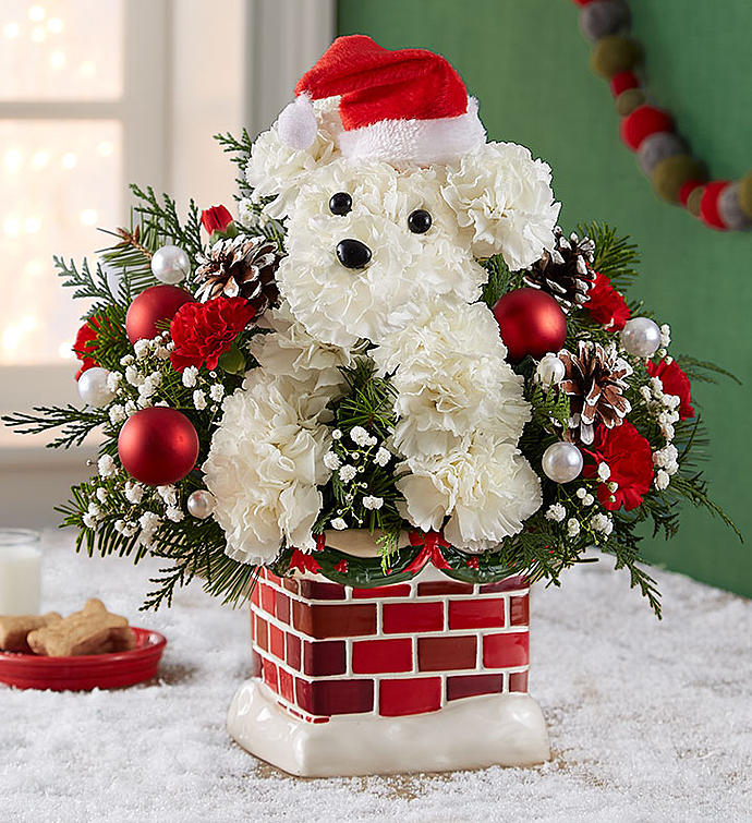 Santa Paws Ceramic