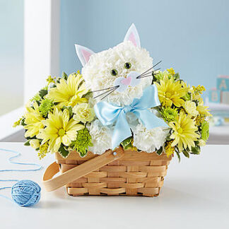 Fabulous Feline For Baby Boy
