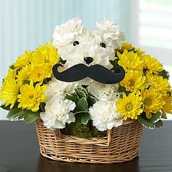 A-Dog-Able & A Gentleman