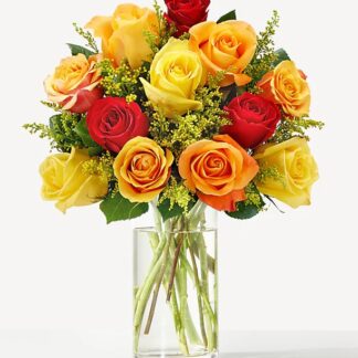Sunshine Roses