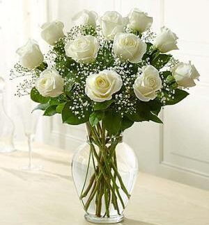 Valentine's Day Special