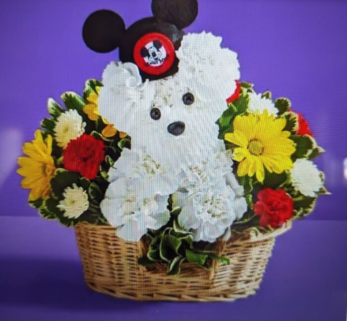 a-DOG-able® Disney Mickey Mouse