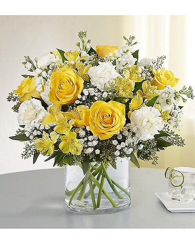 yellow and white delight