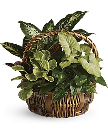 Garden Basket