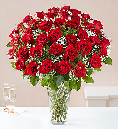 24  Elegance Long Stem Red Roses