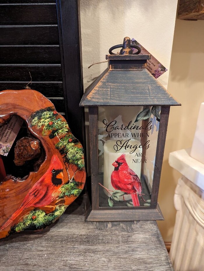 Cardinals Appear