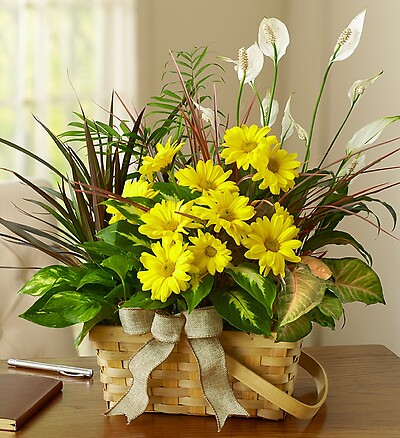 Planter Dish Garden with Fresh Cut Flowers