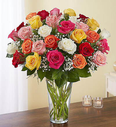 Ultimate Elegance Long Stem Assorted Roses