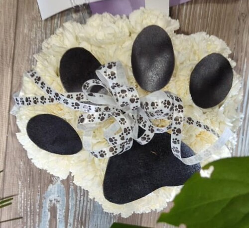 Paw Print