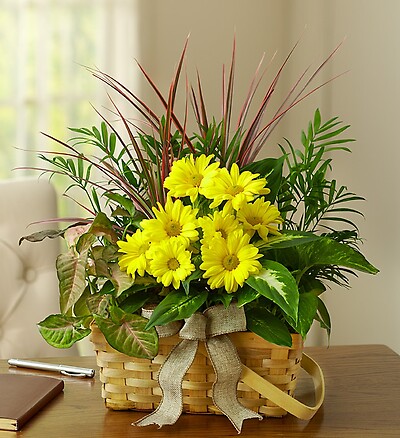 Planter Dish Garden with Fresh Cut Flowers