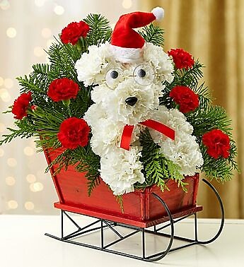 Santa A-Dog-Able