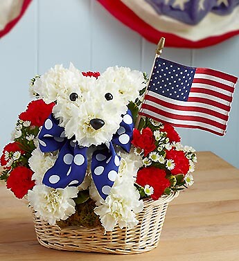 Yankee Doodle Doggie™