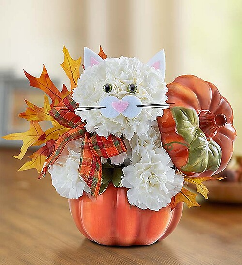 Fabulous Feline™ for Fall